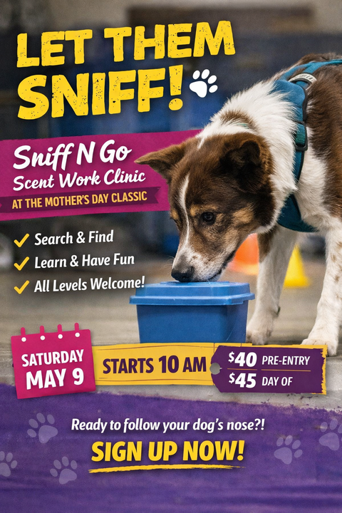 sniff n go